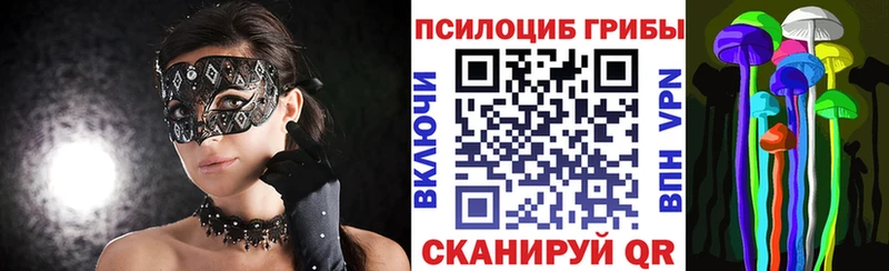 Галлюциногенные грибы Cubensis  продажа наркотиков  Баймак 